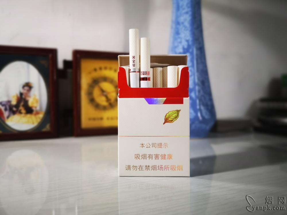 黄金叶金丝路相册 92605_86036