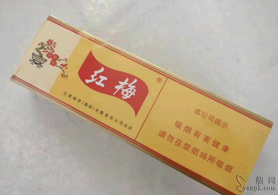 红梅(硬黄)相册 337_45765