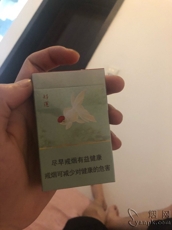 娇子(宽窄好运)