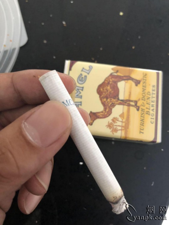 骆驼(无嘴)相册 2227_34227