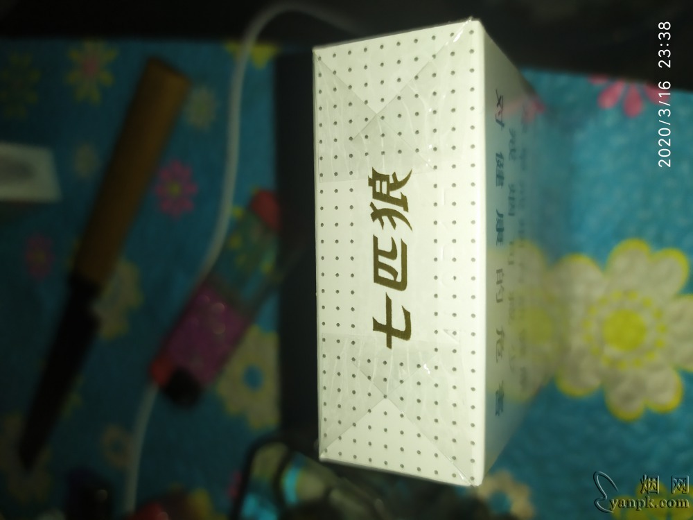 七匹狼(白)相册 1623_49971