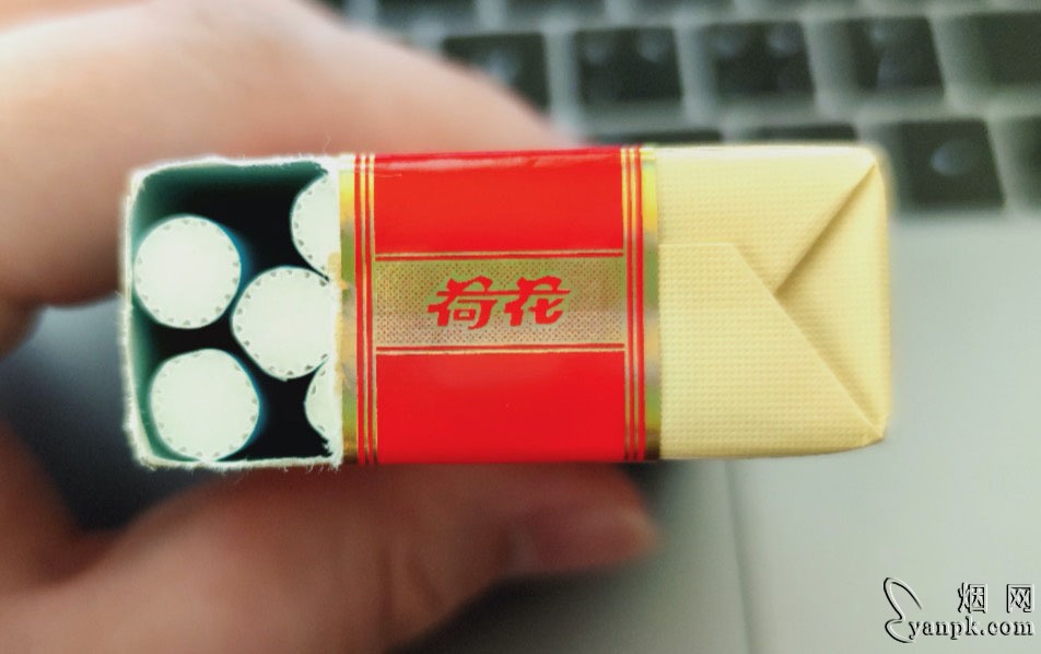 钻石软荷花相册 93749_65442