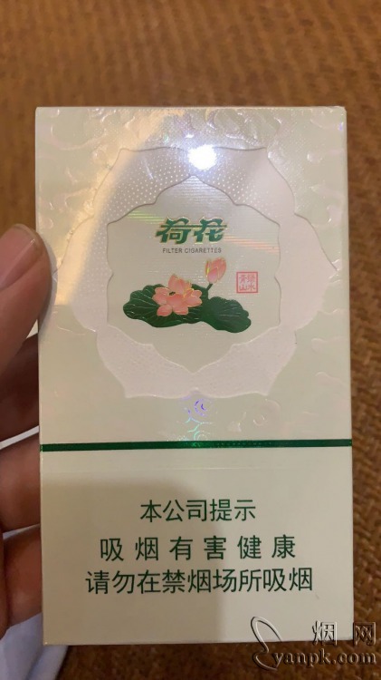 荷花绿水青山相册 93771_27251