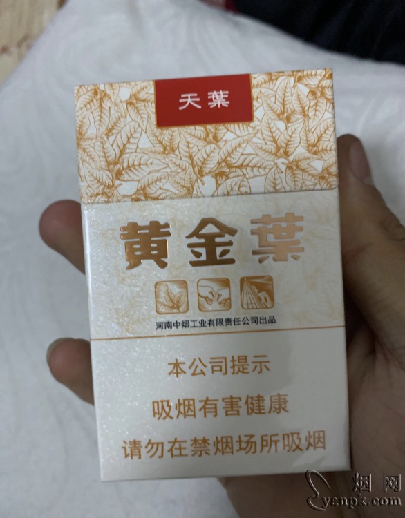 黄金叶(天叶)相册 290_20420