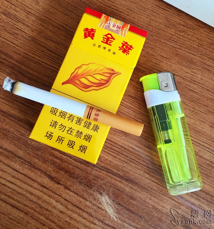 黄金叶大金圆10支装相册 303_34752