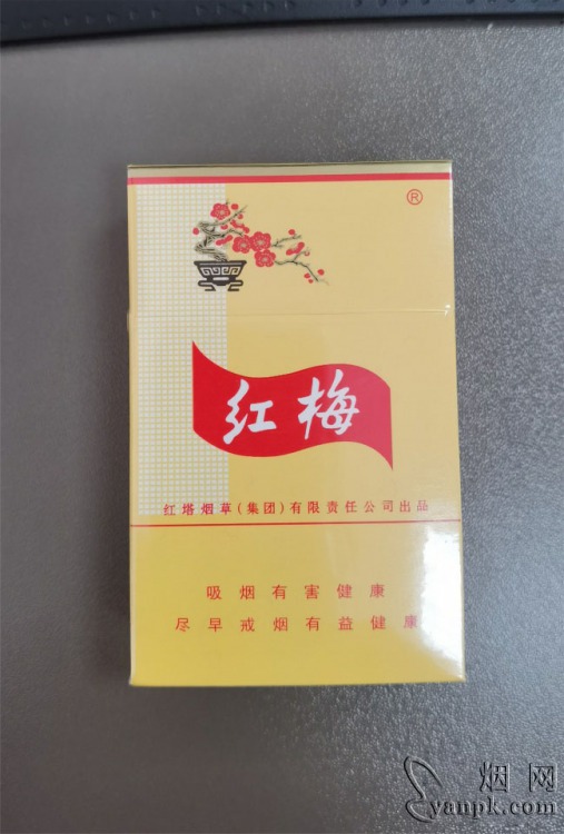 红梅(硬黄)相册 337_79829