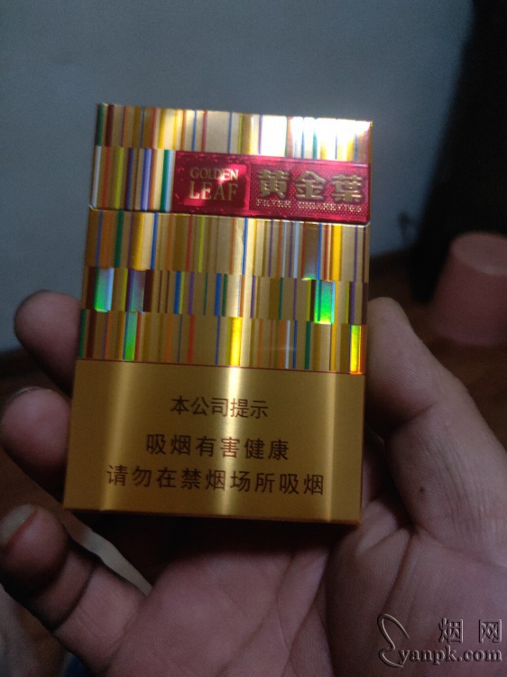 黄金叶商鼎相册 92613_42950