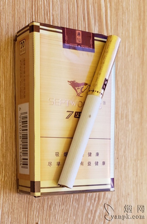 七匹狼(通仙)相册 1120_26811