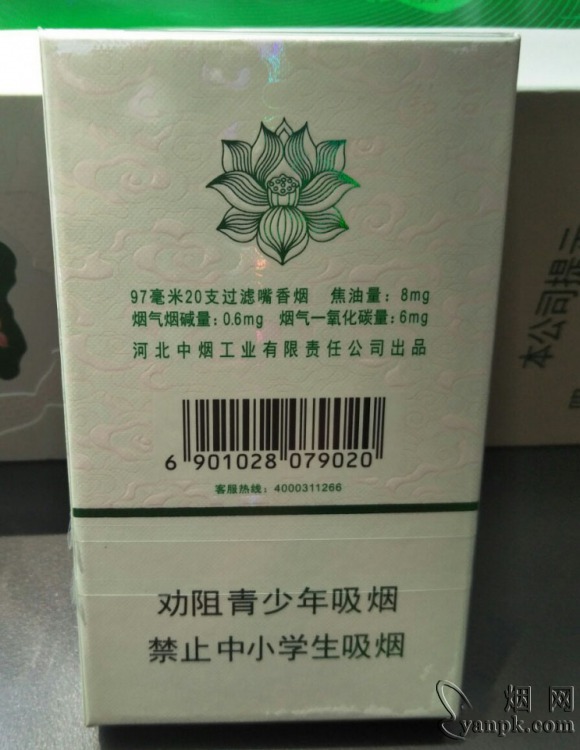 荷花绿水青山相册 93771_11024