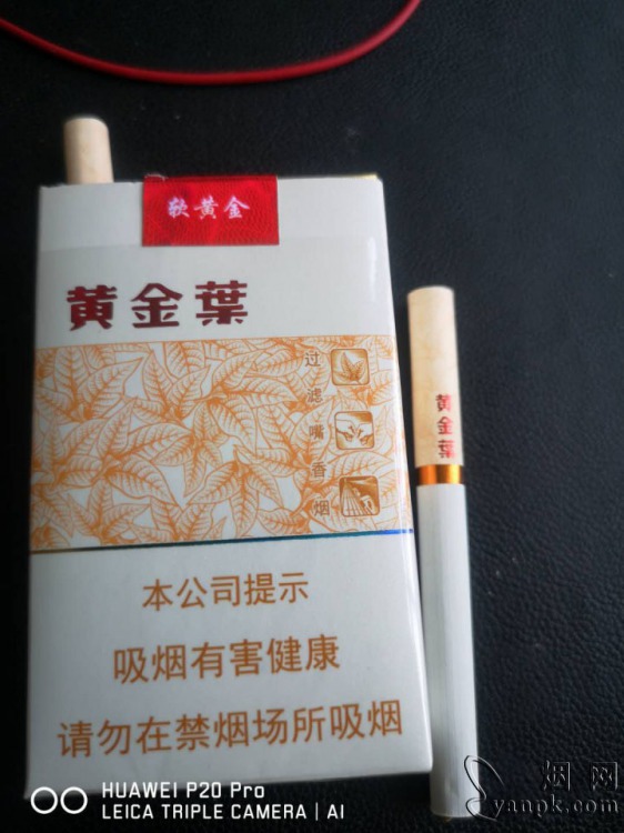 黄金叶(软黄金)相册 12238_59122