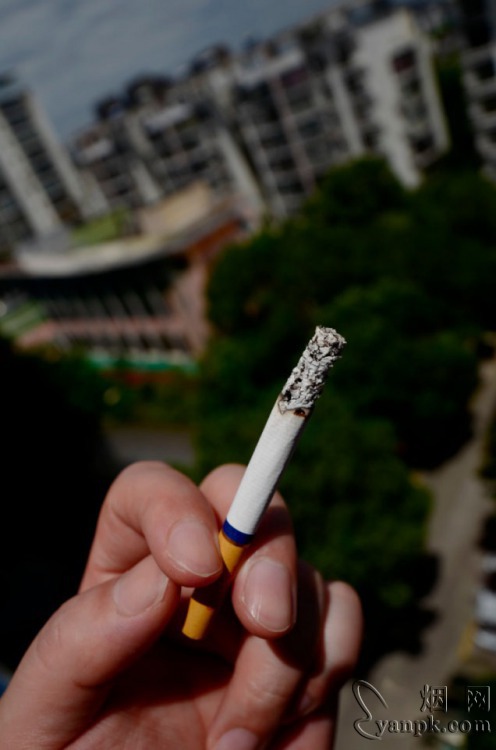 555(金台湾免税)相册 2238_15094