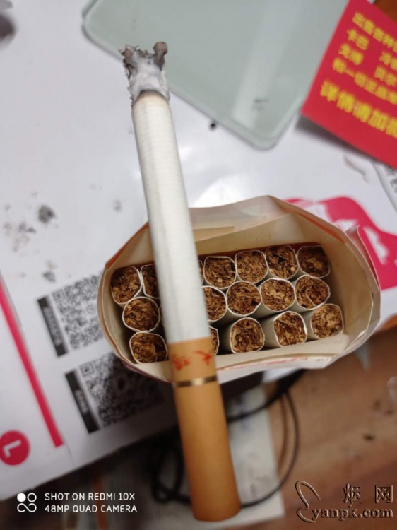 大鸡(软)相册 2970_53198