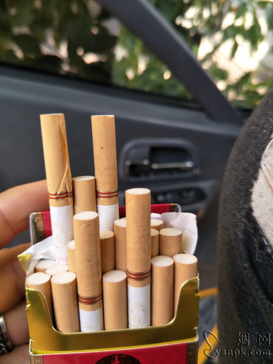 南京(红)相册 1092_71855