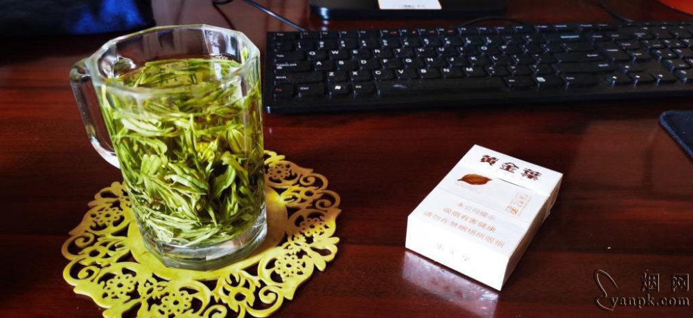 黄金叶(小天叶)相册 305_93034