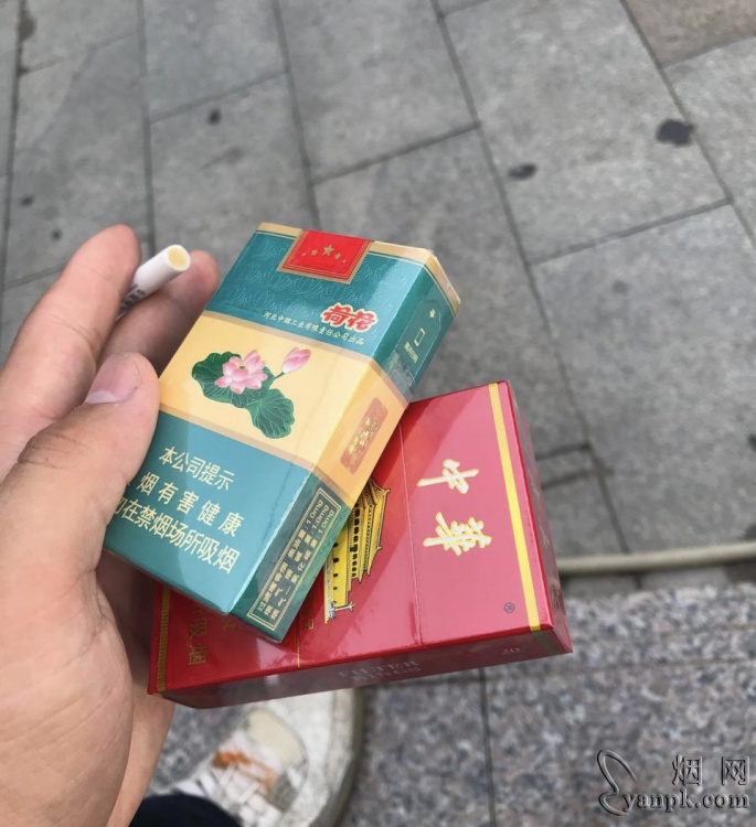 钻石软荷花相册 93749_78573