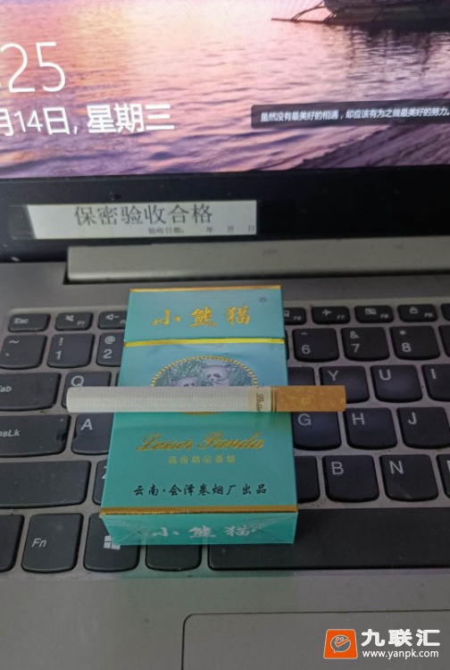 小熊猫(精品)相册 1059_50578