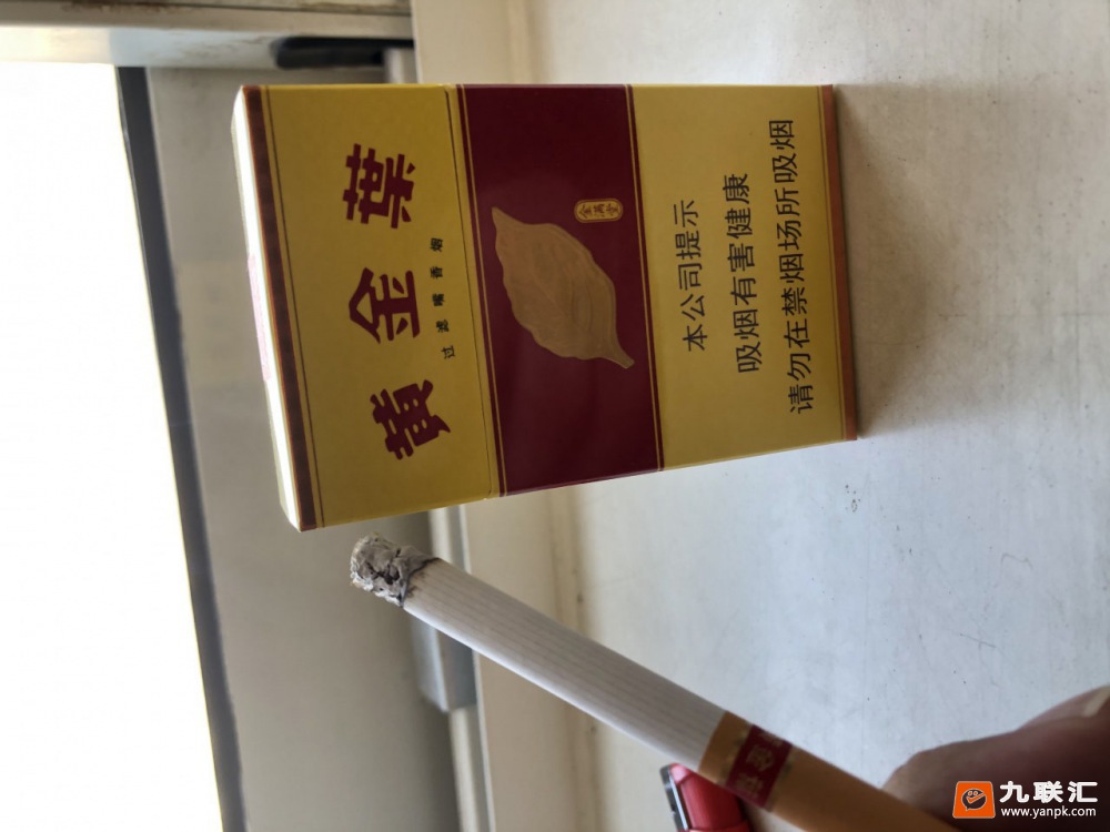 黄金叶(金满堂)相册 297_96275