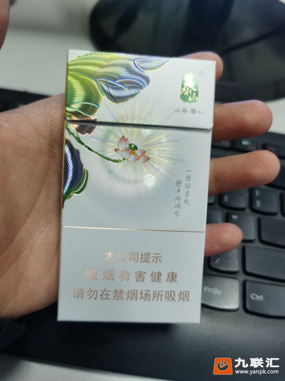 泰山(茶香)相册 93355_36474