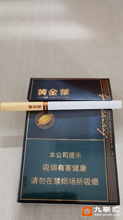 黄金叶(蓝调中支)相册 94955_93630