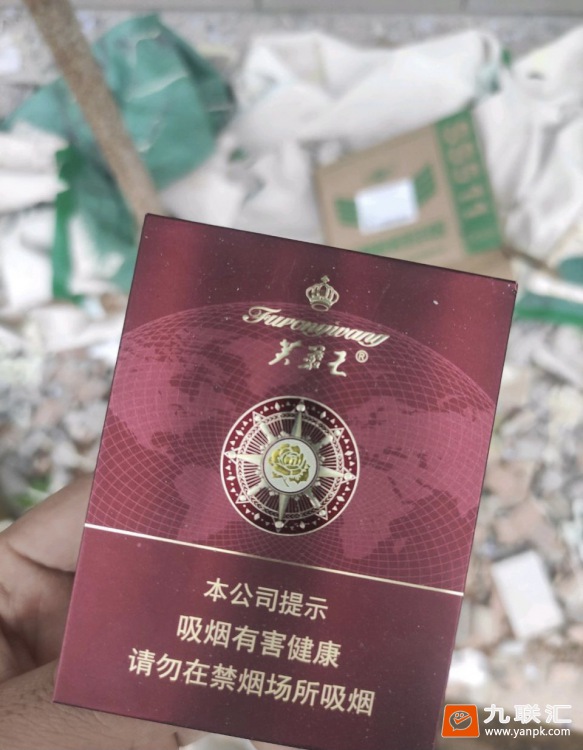 芙蓉王(领航)相册 93873_55431