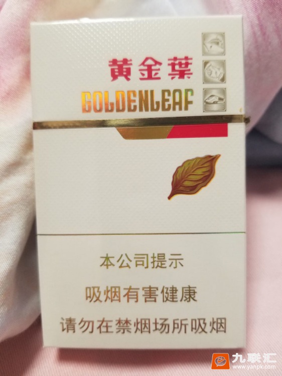 黄金叶金丝路相册 92605_36446