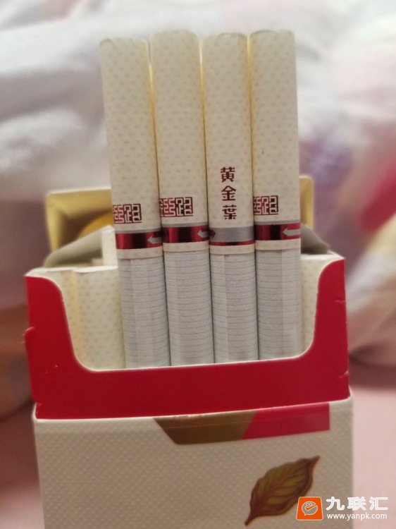 黄金叶金丝路相册 92605_11430