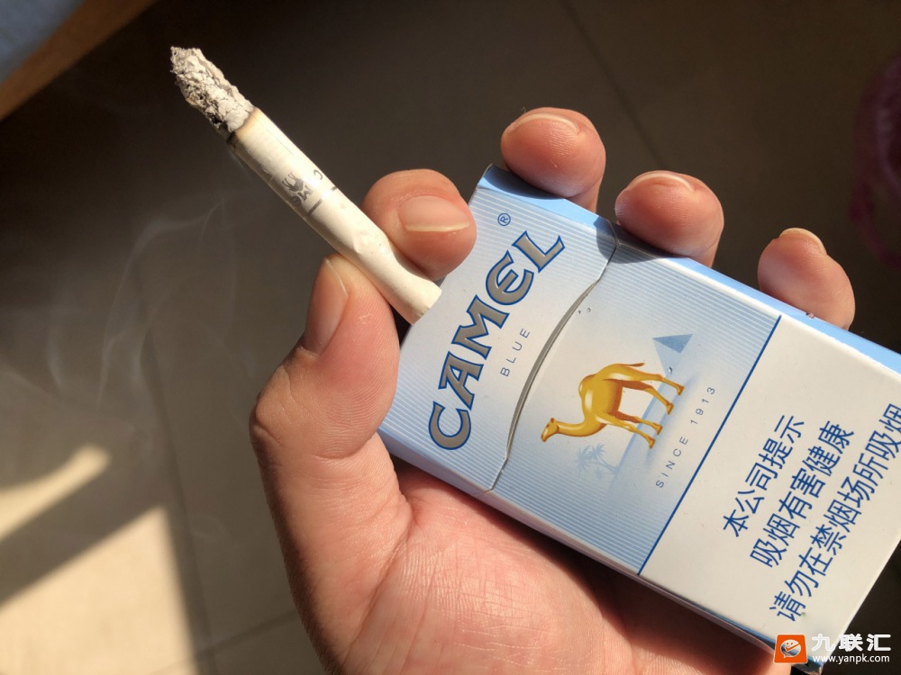 骆驼(蓝)相册 2165_81419