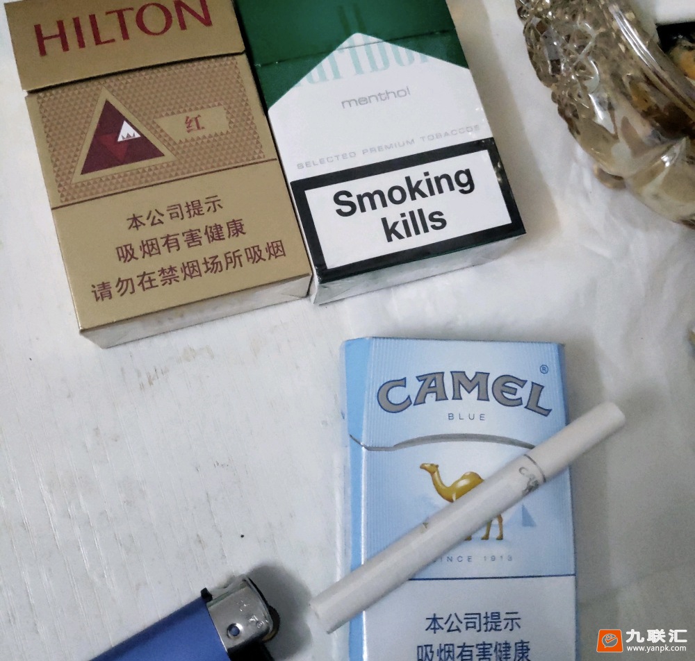 希尔顿(红)相册 2175_58933