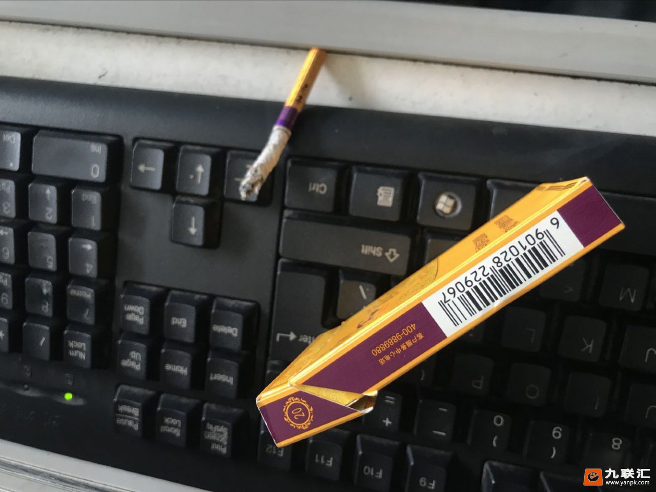 天子(中支)相册 93967_82954