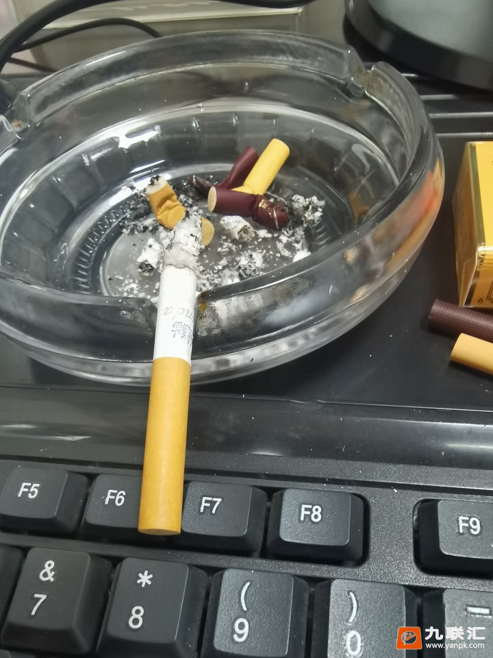 熊猫(硬时代版)相册 905_26048