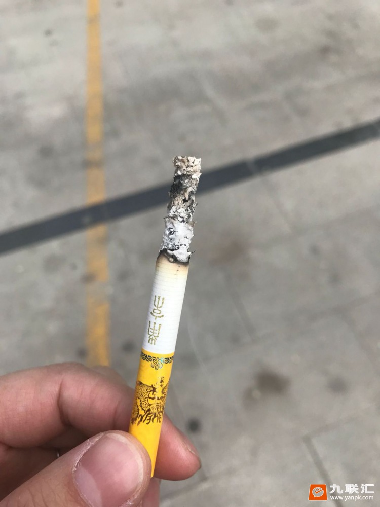 南京(九五)相册 884_24589