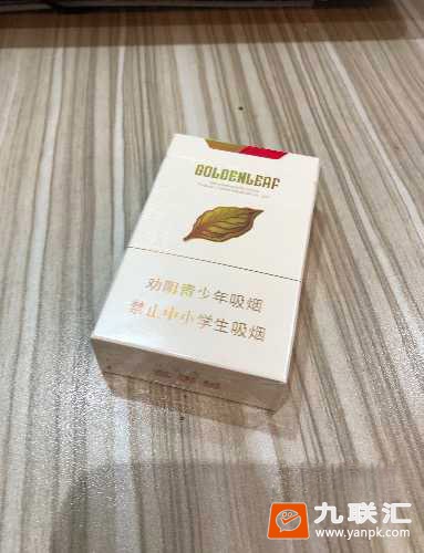 黄金叶金丝路相册 92605_12570