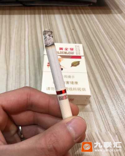 黄金叶金丝路相册 92605_33005