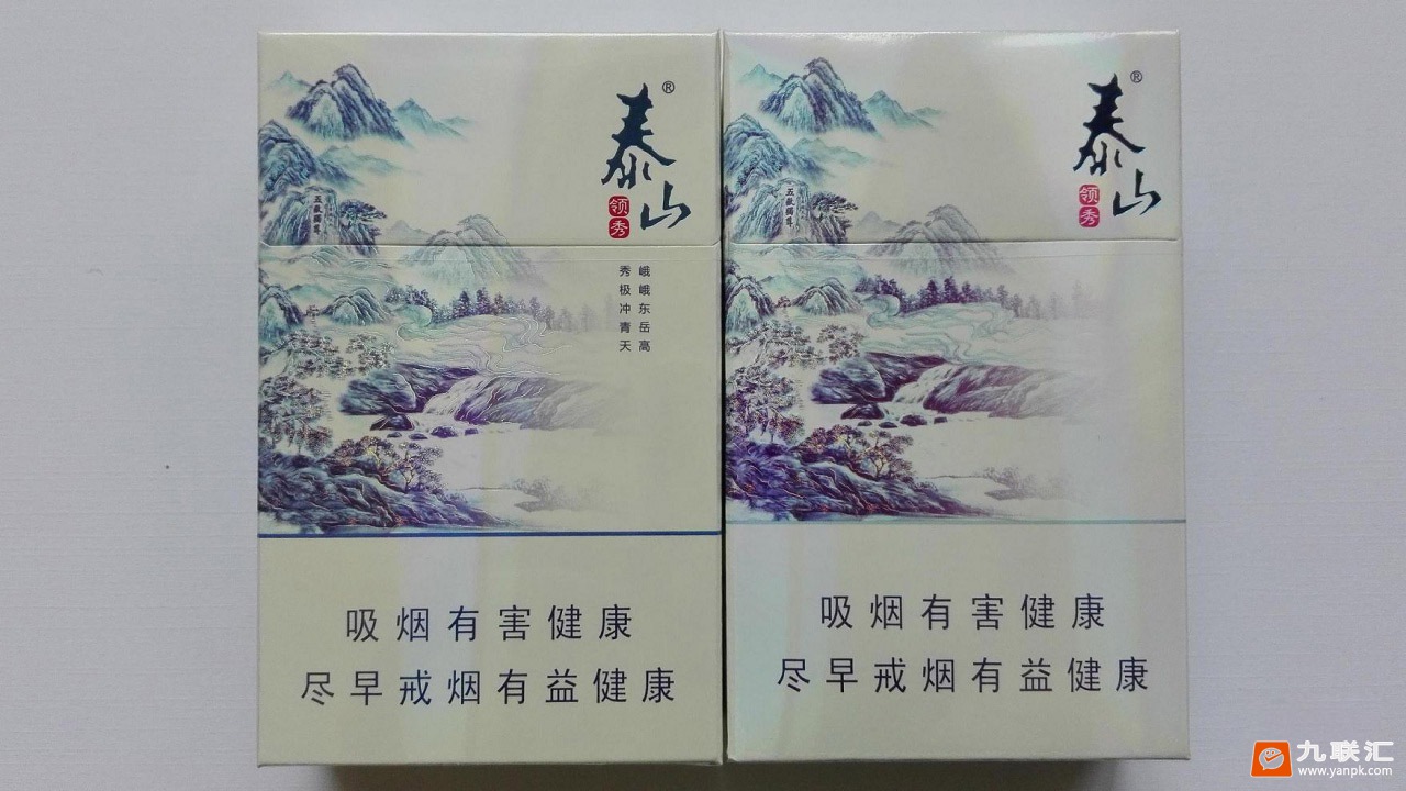 泰山(领秀)相册 1698_19187