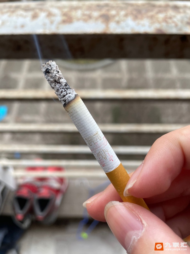 中华(软)相册 929_85113