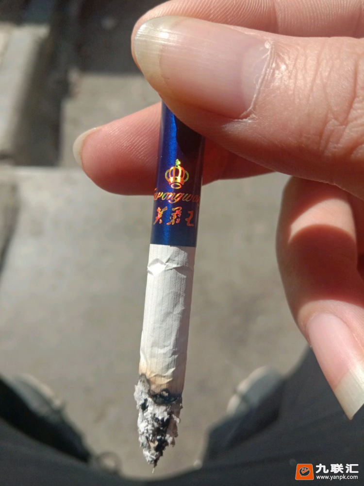 芙蓉王(硬蓝新版)相册 93722_32112