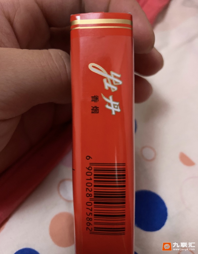 牡丹(软)相册 851_54804