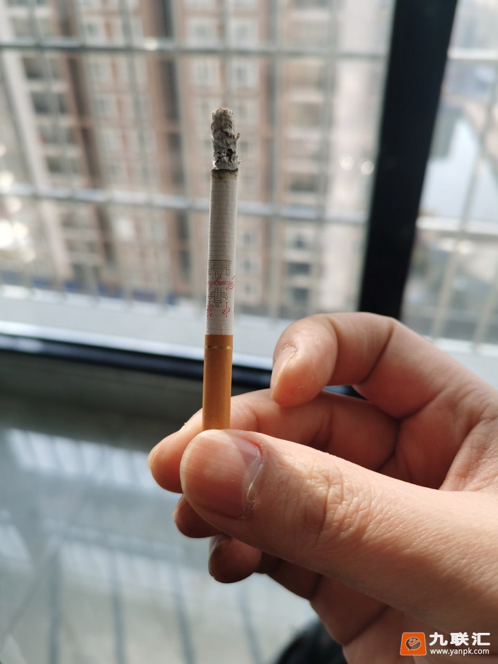 中华双中支相册 93483_27185