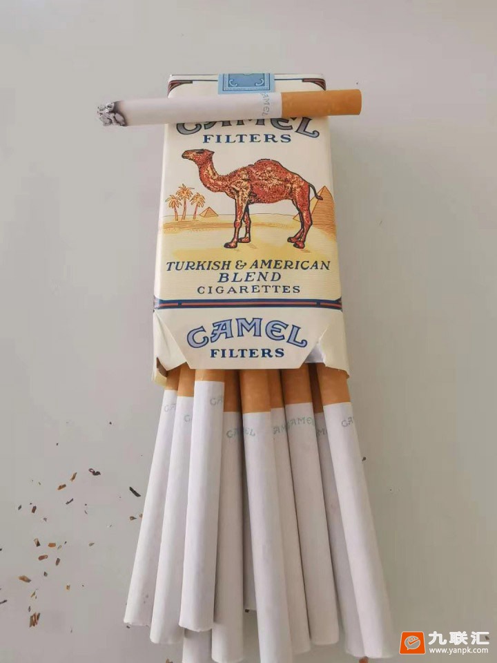 骆驼(软黄)相册 2228_84794