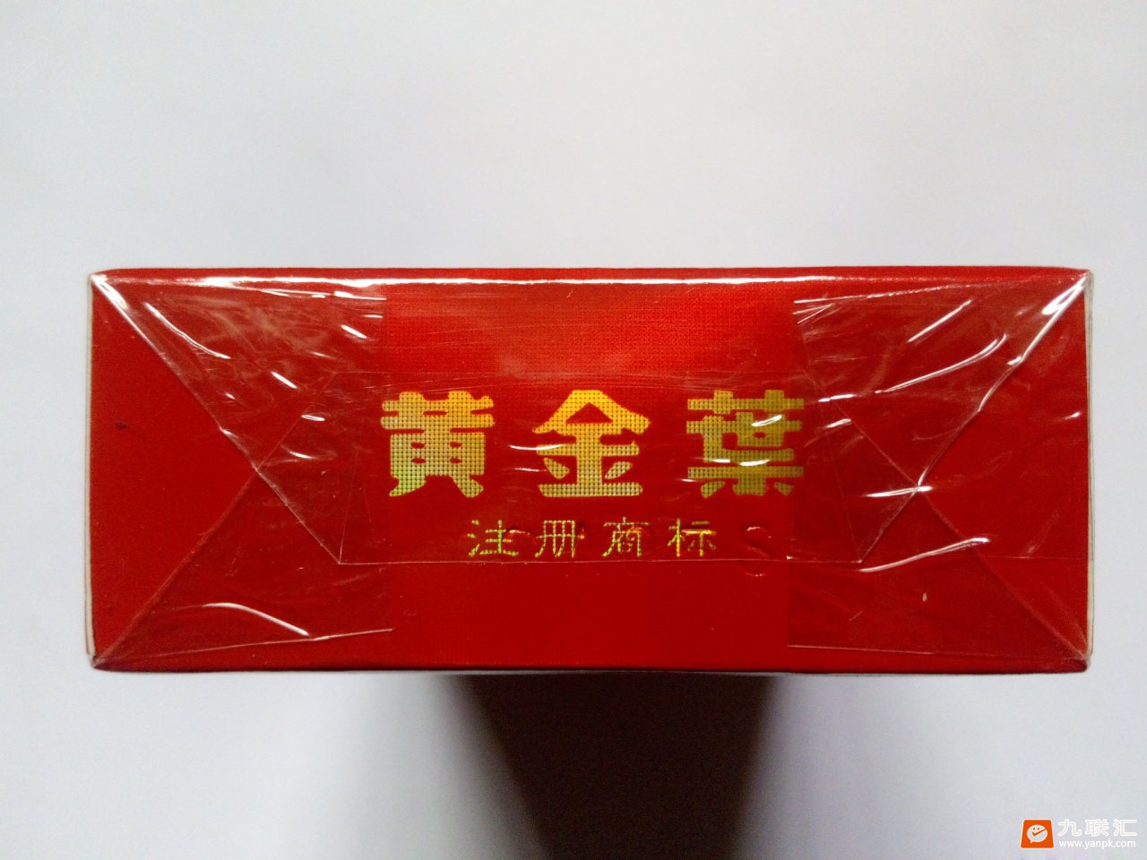 黄金叶大红南阳相册 92635_90307