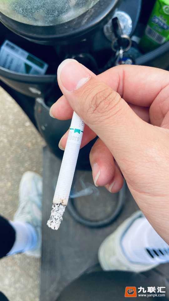 万宝路(硬绿)相册 1205_76945