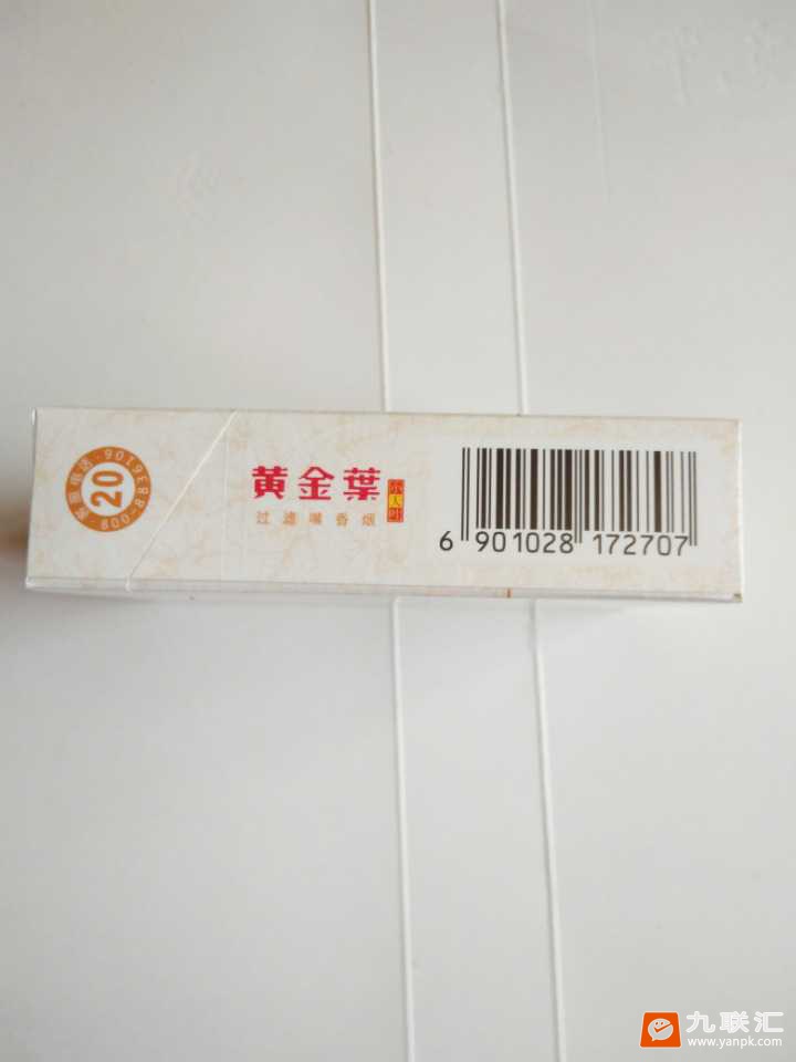 黄金叶(小天叶)相册 305_25592