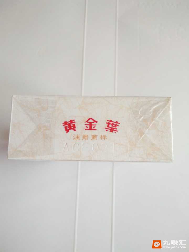 黄金叶(小天叶)相册 305_42824