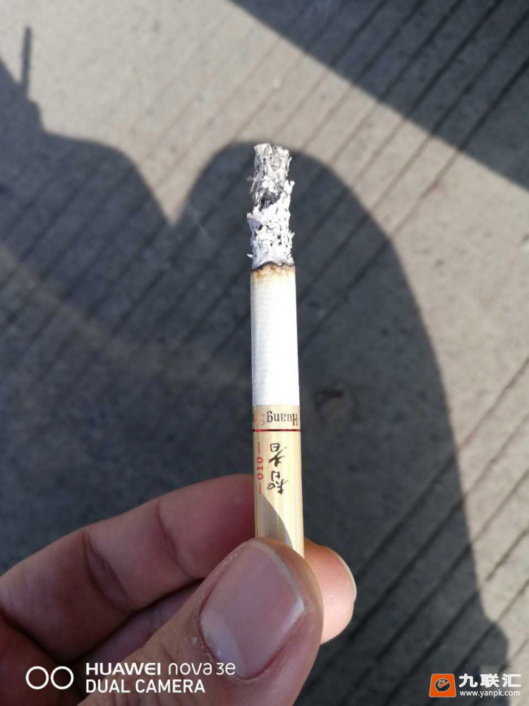 黄山(智者010)相册 2455_96454