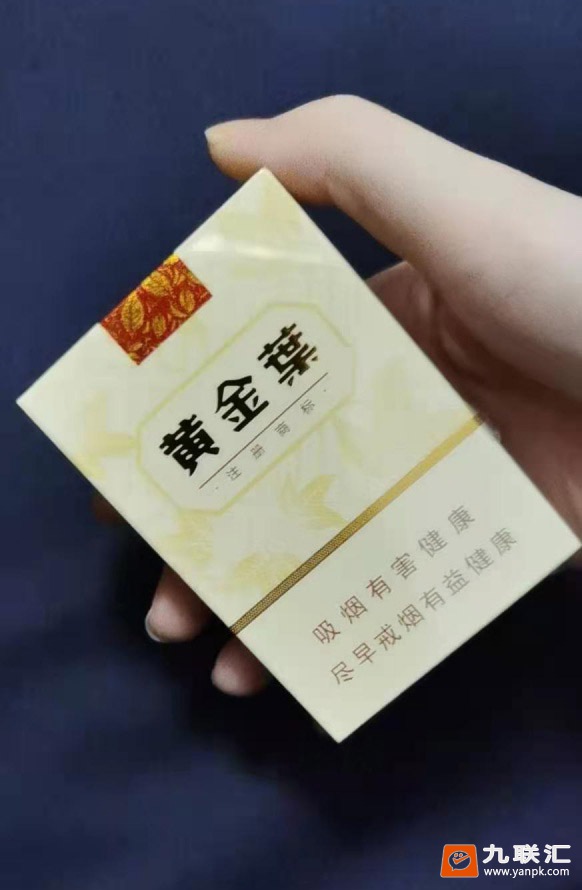 黄金叶(天韵)相册 3156_16416