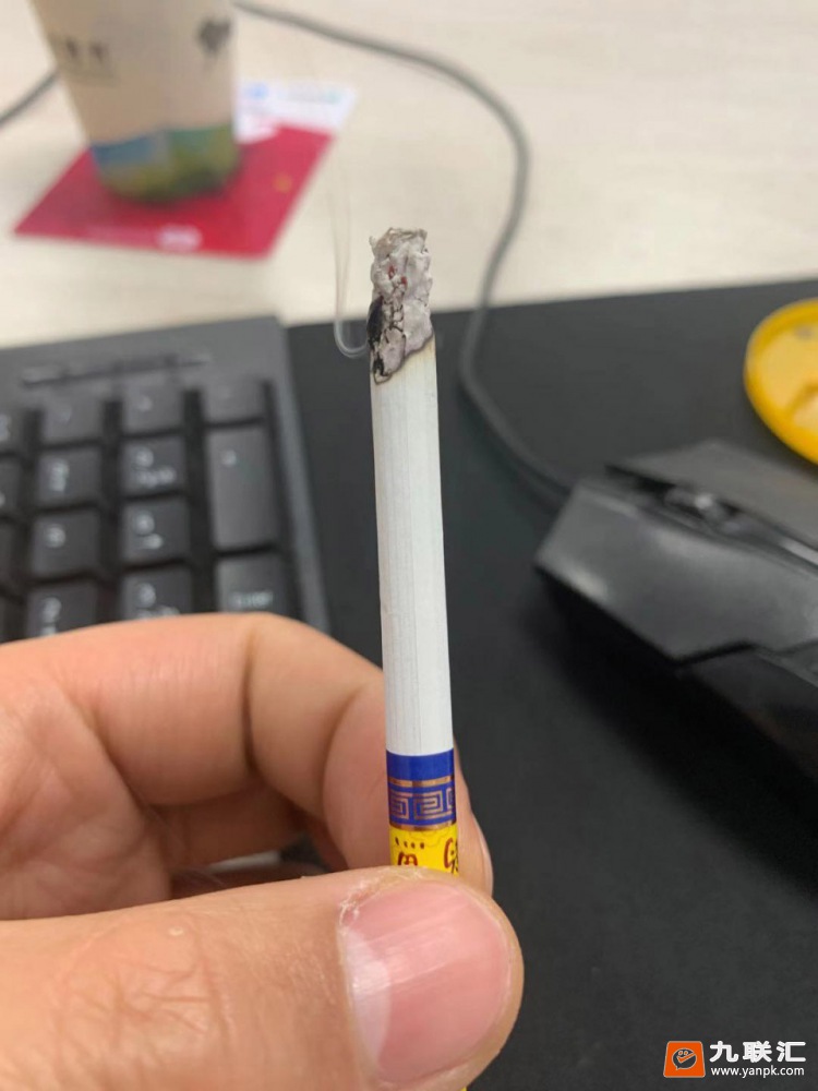 钓鱼台(中支)相册 93770_81054