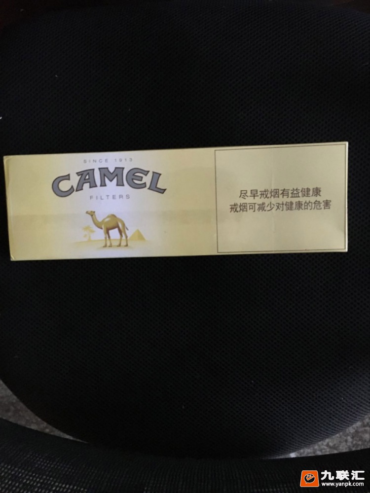 骆驼硬相册 27096_70770