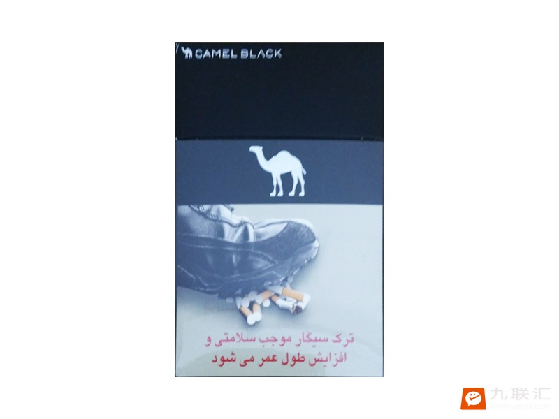 骆驼(硬黑伊朗伊斯兰共和国本土零售版)相册 95704_85215