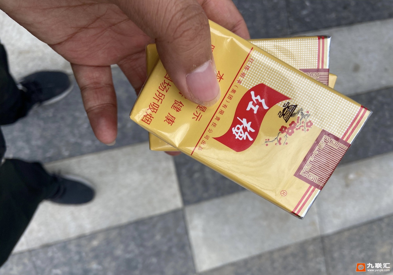 红梅(软黄)相册 333_73336