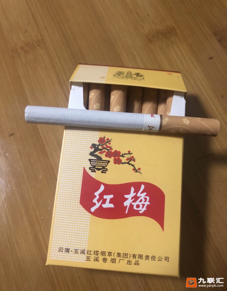 红梅(硬黄)相册 337_85822